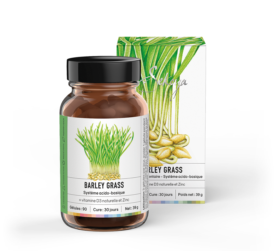 Herbe Barley Grass 90 gélules Sekoya