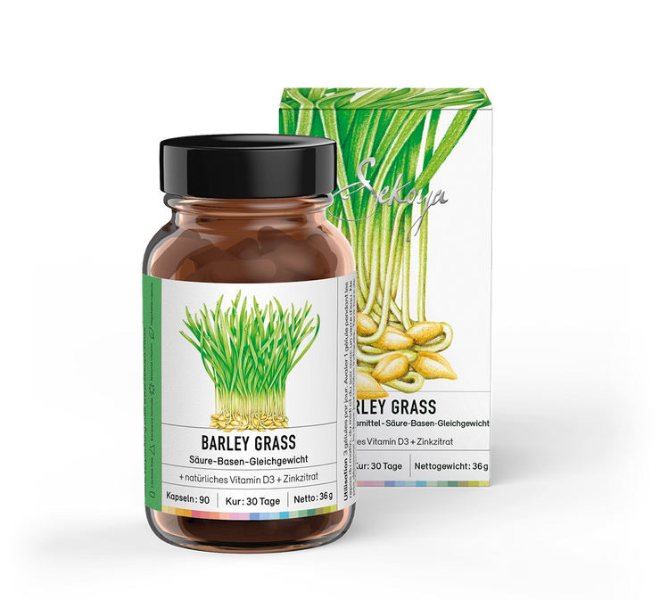 Barley Grass