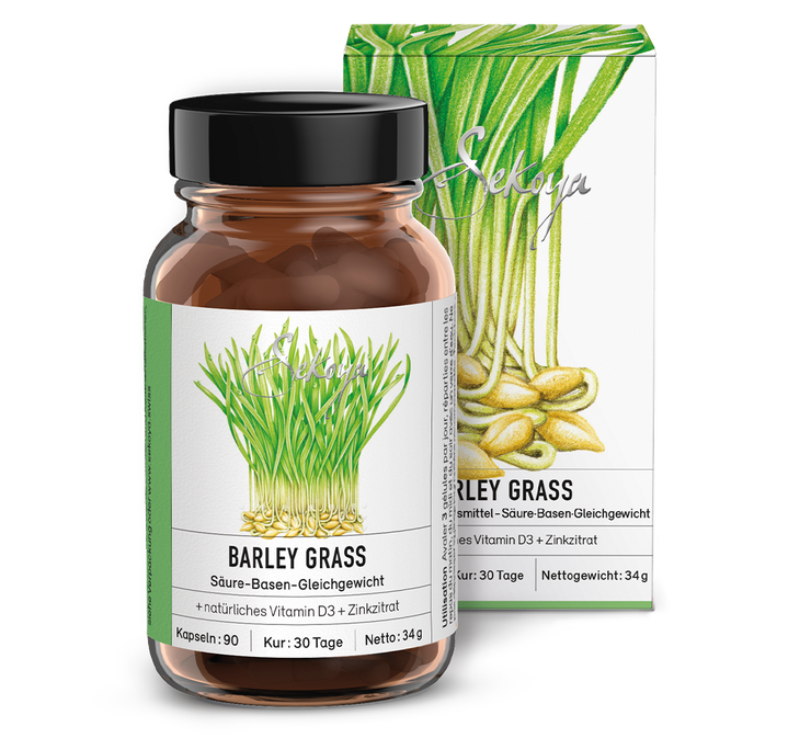 Barley grass