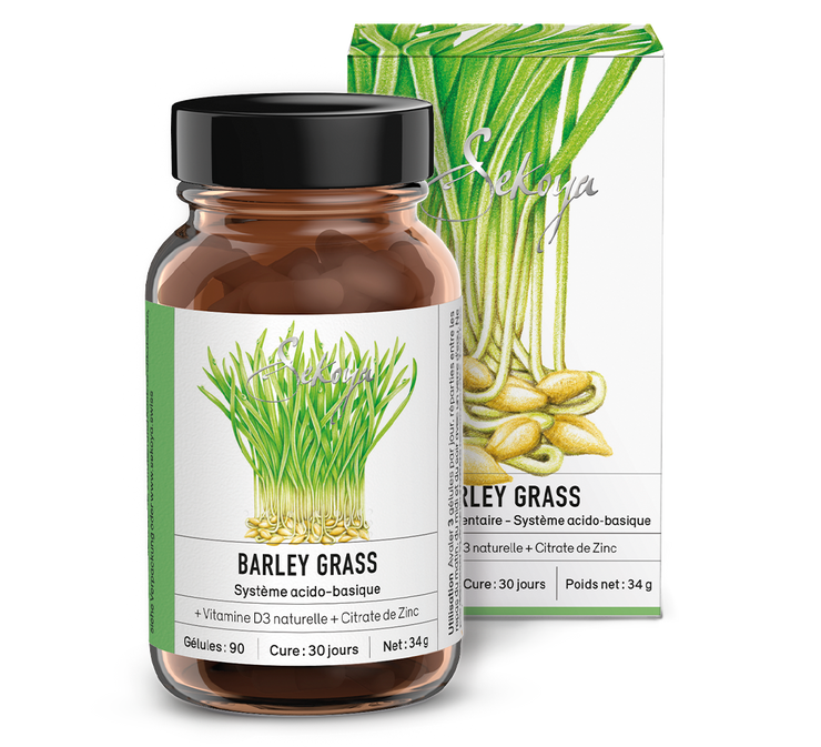 Barley grass