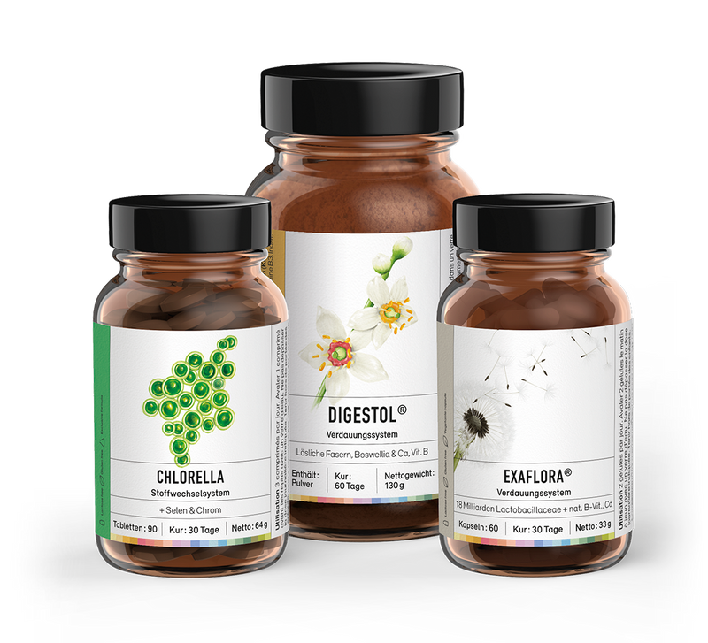 Digestion cure - Sekoya