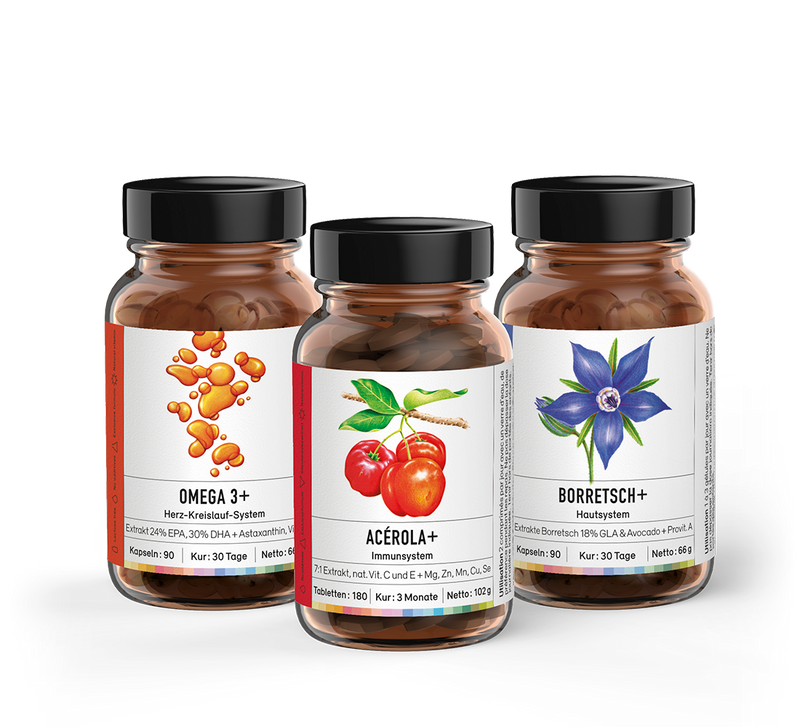 Winter cure - Sekoya