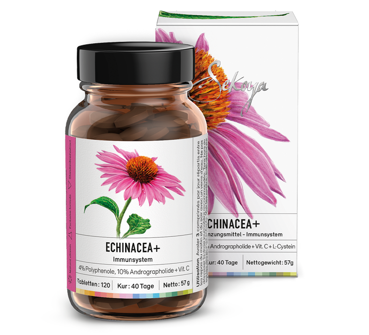 Echinacea +
