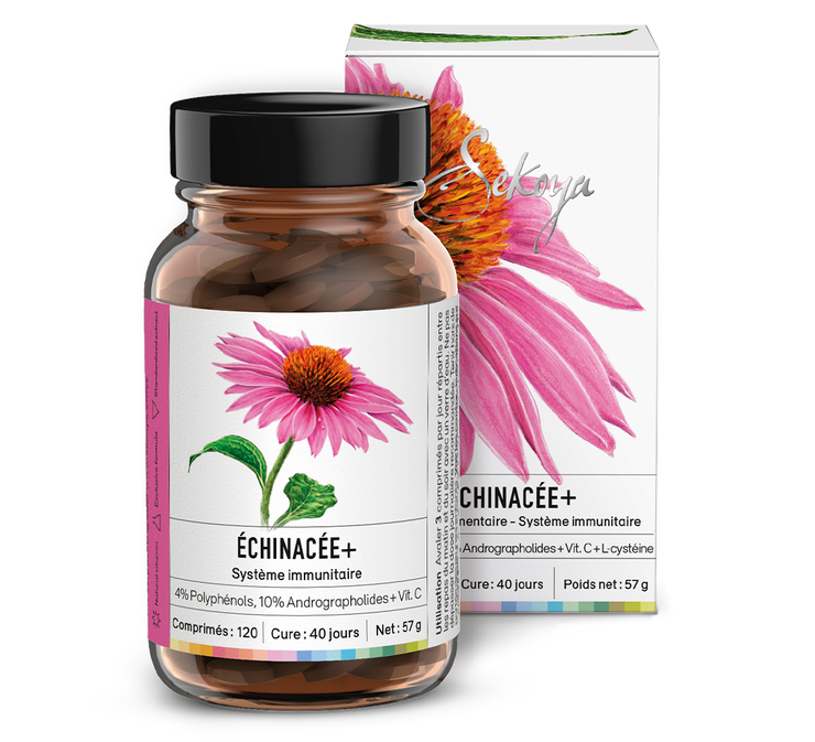 Echinacea +