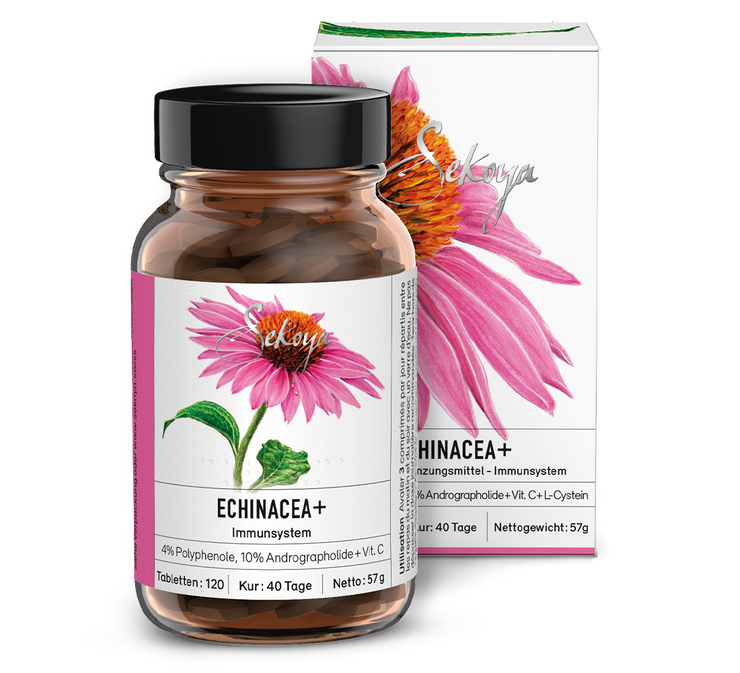 Echinacea +