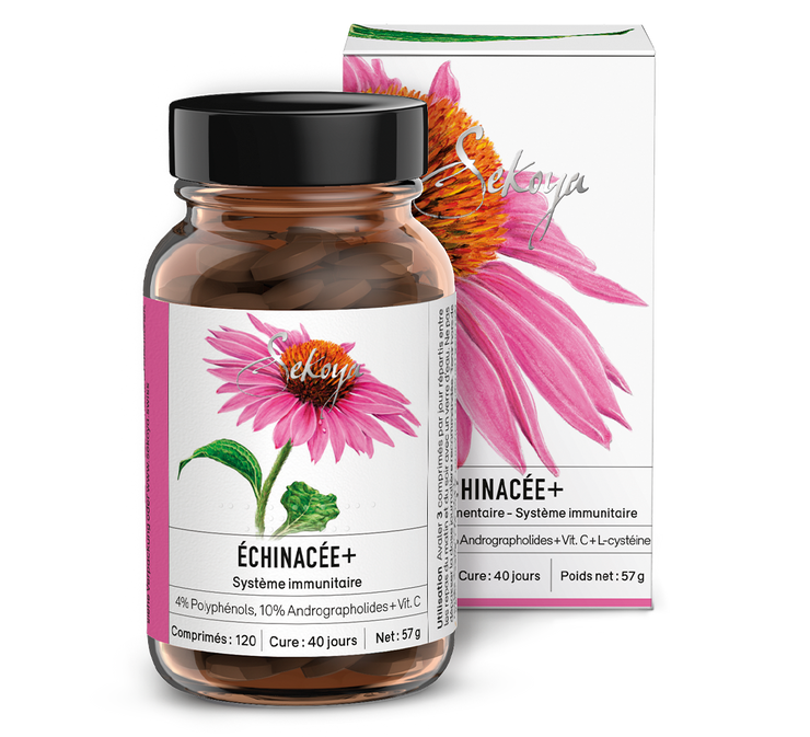 Echinacea +