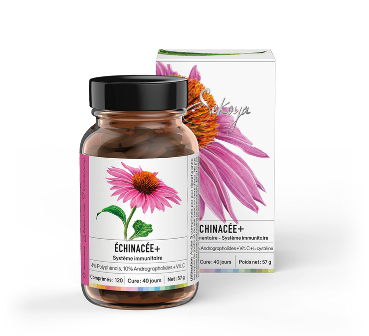 Echinacea + - Sekoya