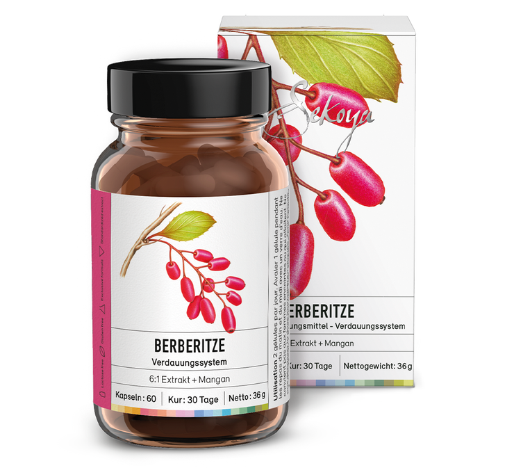 Barberry