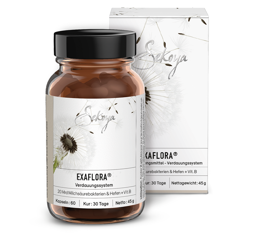 【新品未開封】1箱60包SLIMBEAUTYHOUSE ENZYMEFLORA Exaflora® 60 capsules - Natural Probiotics | Sekoya