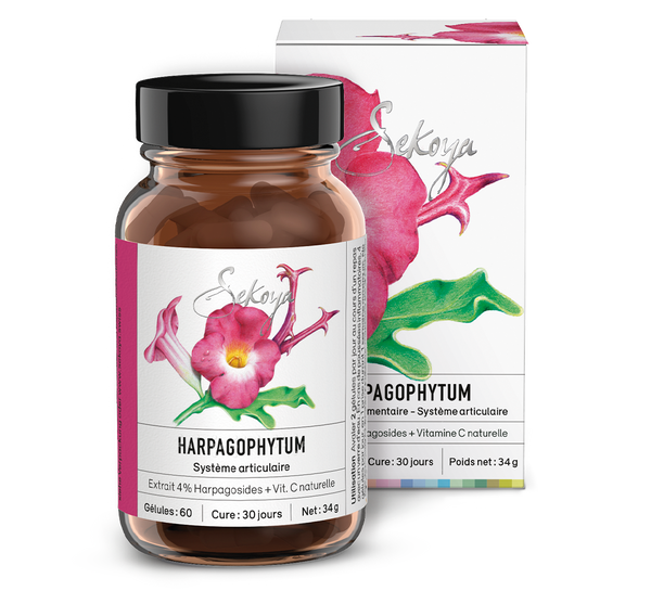 Harpagophytum 60 capsules - Against osteoarthritis | Sekoya