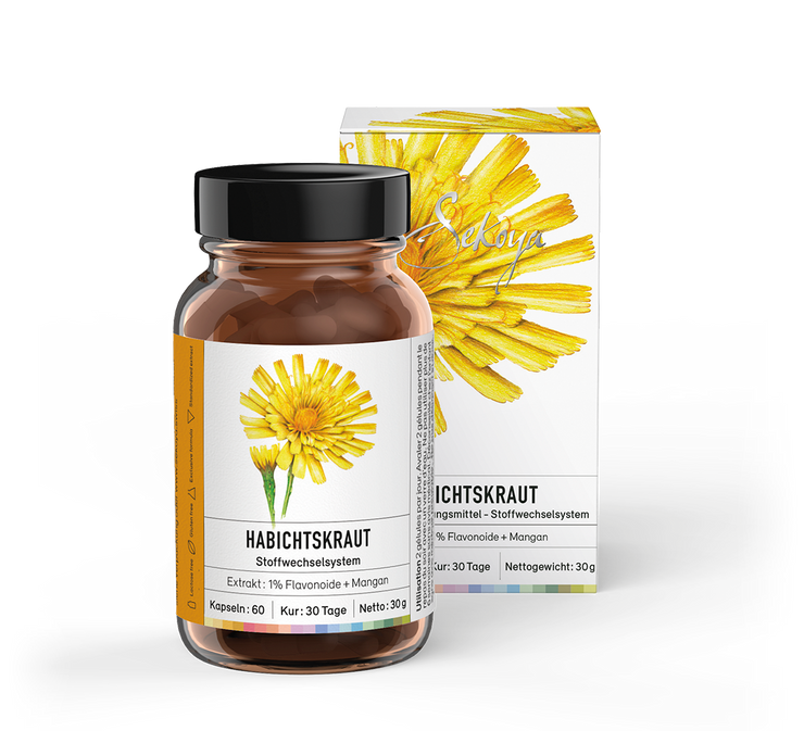 Habichtskraut