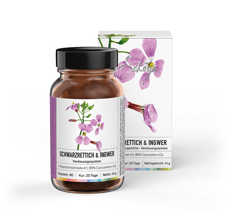 Schwarzer Rettich & Ingwer