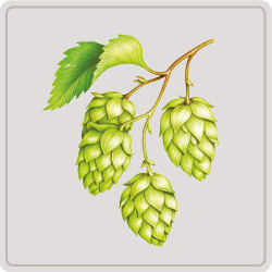 hops