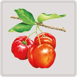 acerola